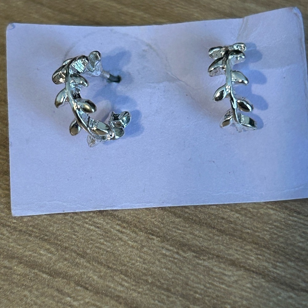 Fashion Earrings